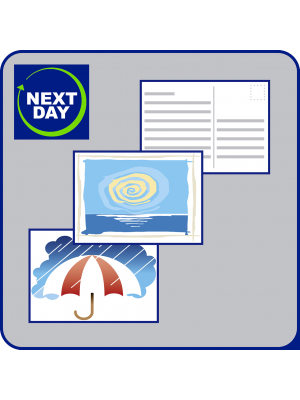 Postkort NEXT DAY
